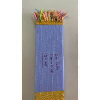 Palamut Çaparisi 25li